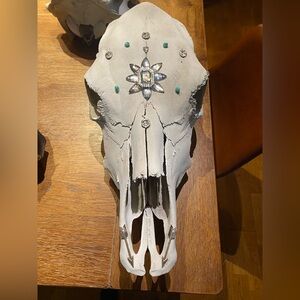 Decorative Cow Skull with Gem Accents 100% genuine
